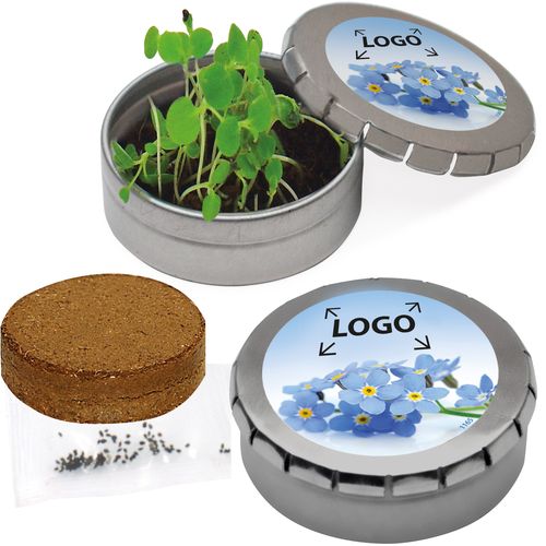 Boîte de graines Myosotis