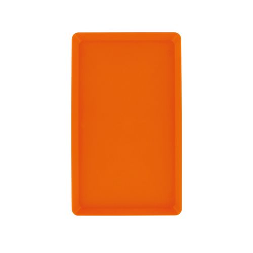 SMALL TRAY (25x15x2cm)