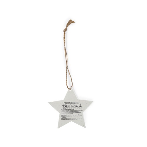 Seeds Christmas Decoration Boster