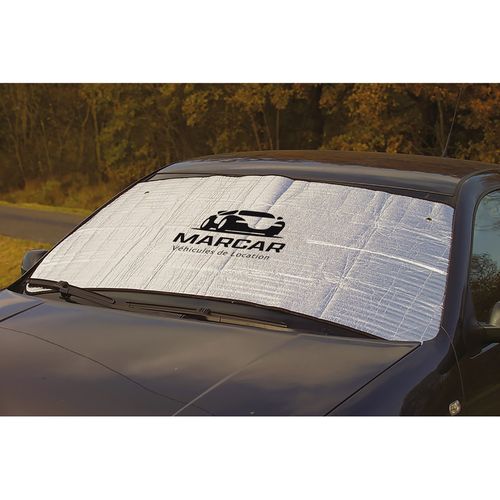 windshield protection