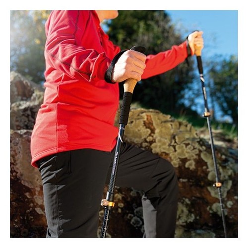 Trekking poles DENALI Schwarzwolf