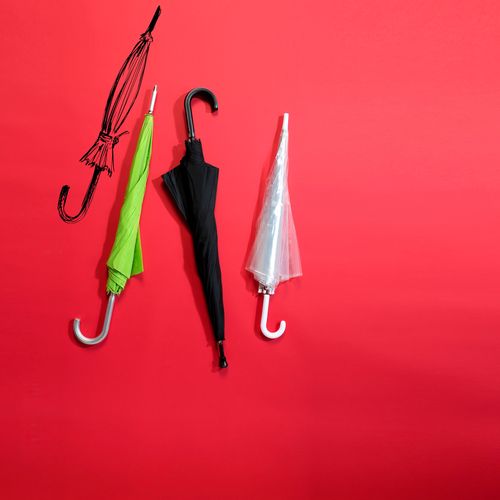 Paraguas Charles Dickens® de pongee Annabella