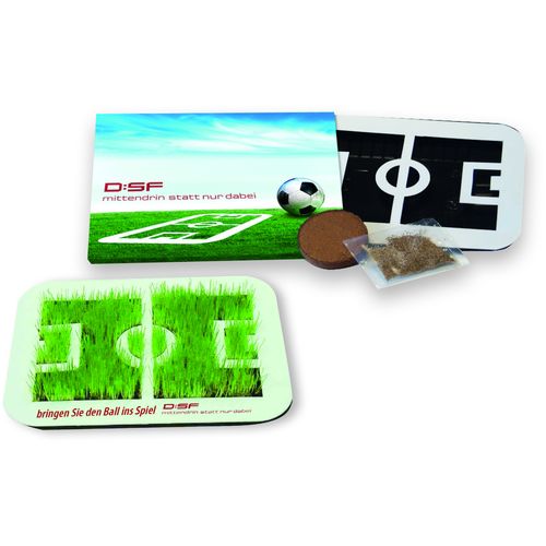 Arène de Football qui croît