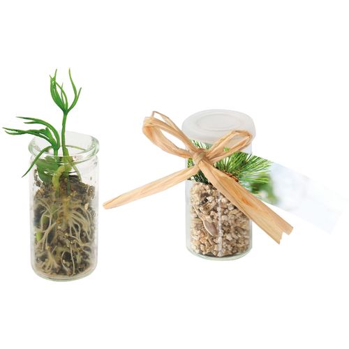 Mini Glasshouse Christmas Tree