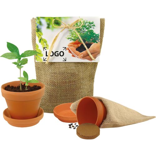 Plant your own Tree nature sack