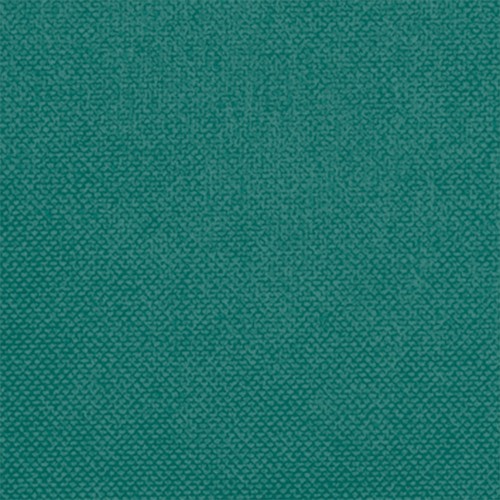 Large disposable tablecloth HOSTEX