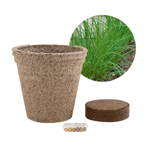 Jar with peat and seeds Paprica