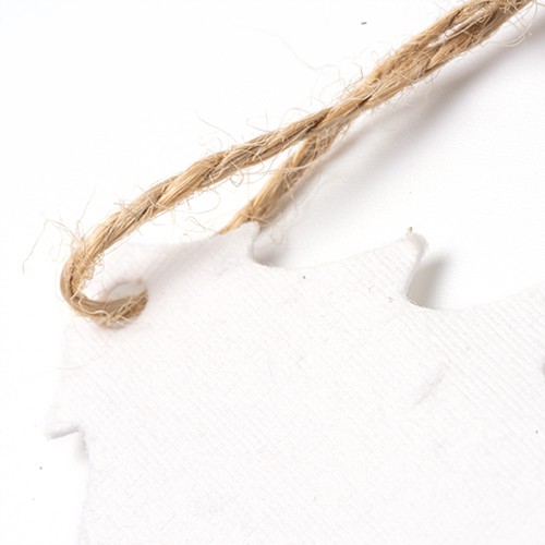 Christmas decorations Littleton