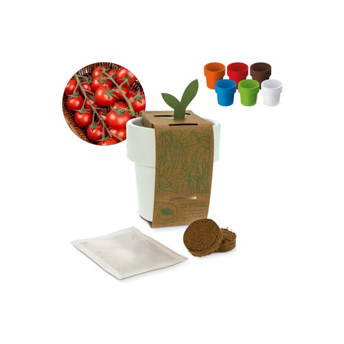 Tasse à café hot-but-cool avec graines de tomate cerise