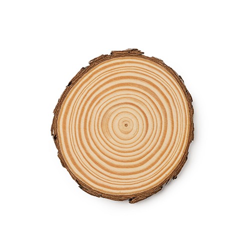 Juego de 4 posavasos de pino Biedano