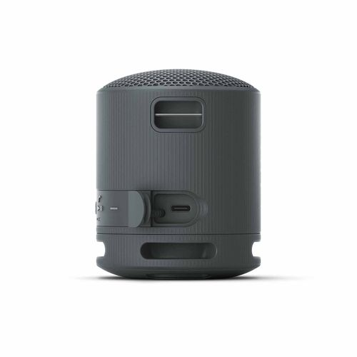 Sony Bluetooth Speaker SRS-XB100 Schwarz