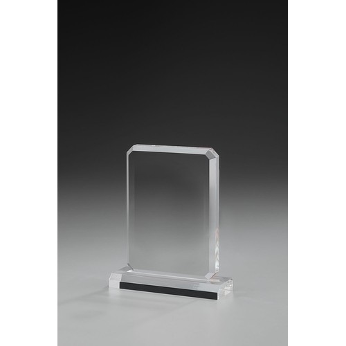 Acrylic Frame Award