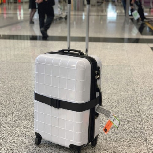 Bracelet réglable pour valise Moordeich