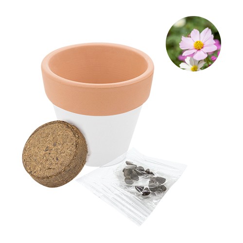 Bicolored jar, supplied with cultivation substrate Gelso