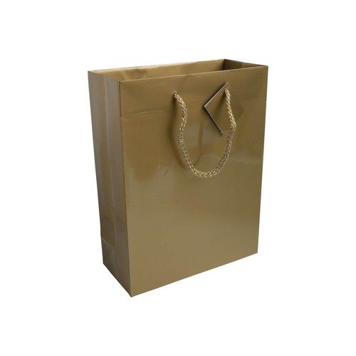 157 g/m2 laminated paper shopping bag with gusset and bottom reinforcement, string handles