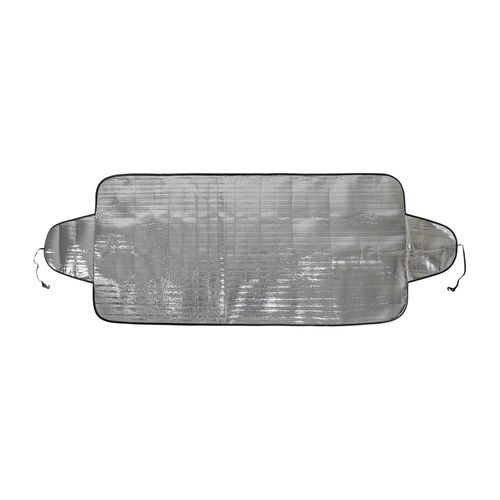 windshield protection