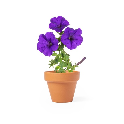 Flowerpot Soltax