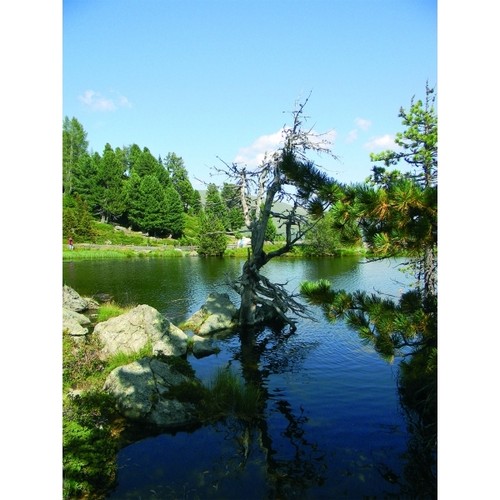 Folding knife HUNTER Schwarzwolf