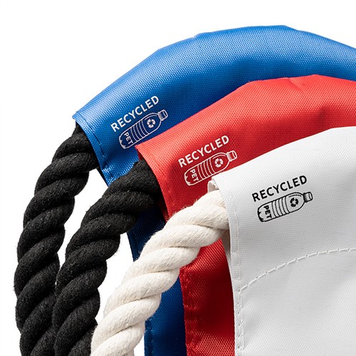 Frisbee for dogs Doc