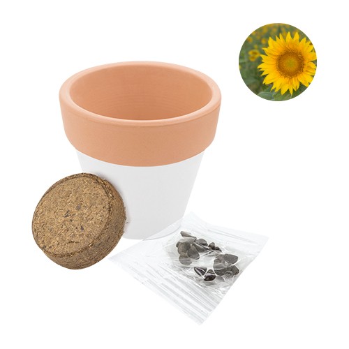 Bicolored jar, supplied with cultivation substrate Gelso