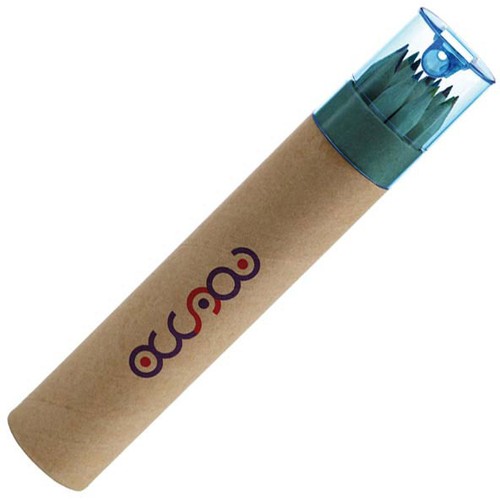 12 crayons de couleurs avec taille-crayon