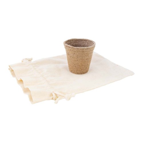 Jar with peat and seeds Paprica