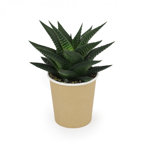 10W charging base and desktop air filtering plant