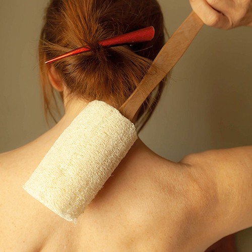 Loofah exfoliating sponge. Barbabietola