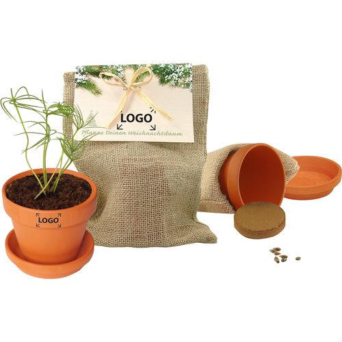 Christmas Growth in jute sack