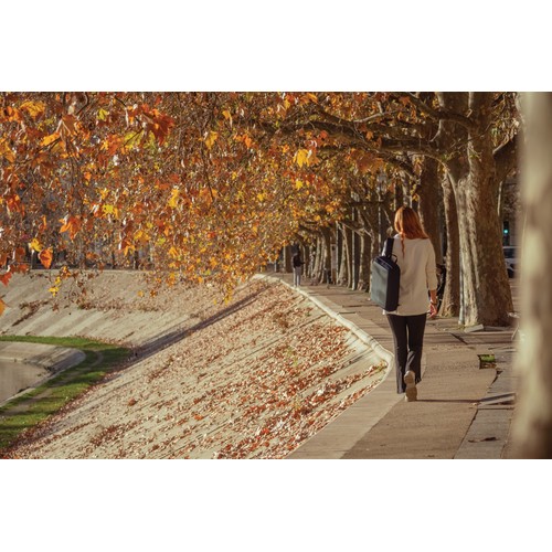 Bobby Bizz 2.0 anti-diefstal rugtas & aktentas