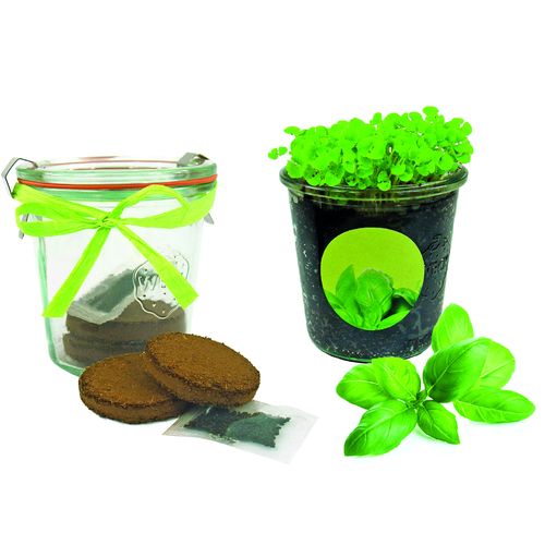 Bocal d'Herbes aromatiques