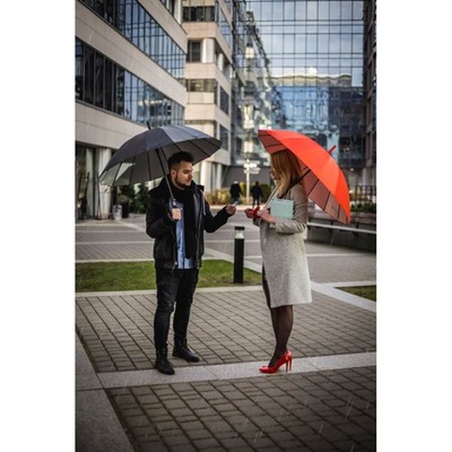 Automatic umbrella Mauro Conti | Sean