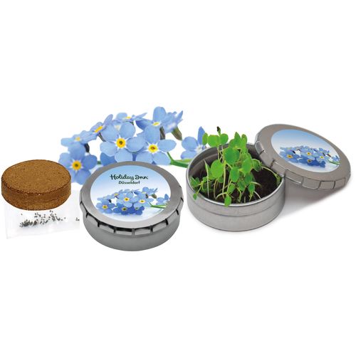 Boîte de graines Myosotis