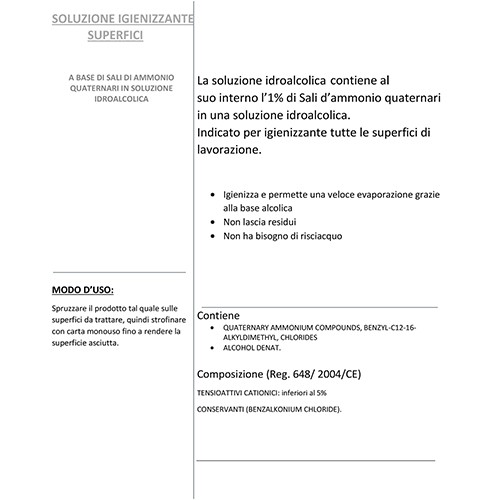 500ml sanitizing spray Beirut