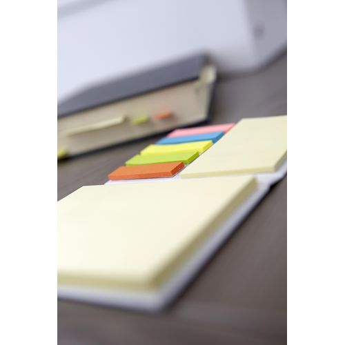 Cardboard holder with sticky notes Duke