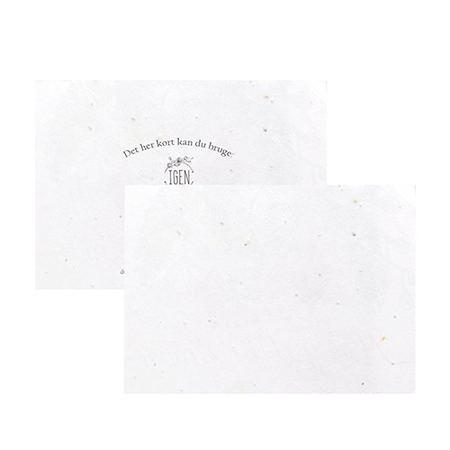 Ecological postcard Ficus