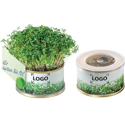 Miniture Garden Cress with magnet