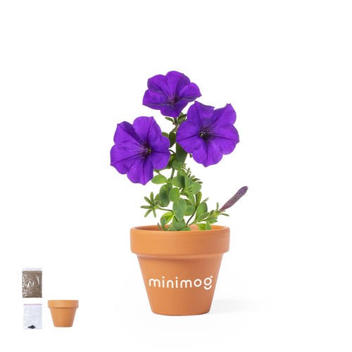 Flowerpot Soltax