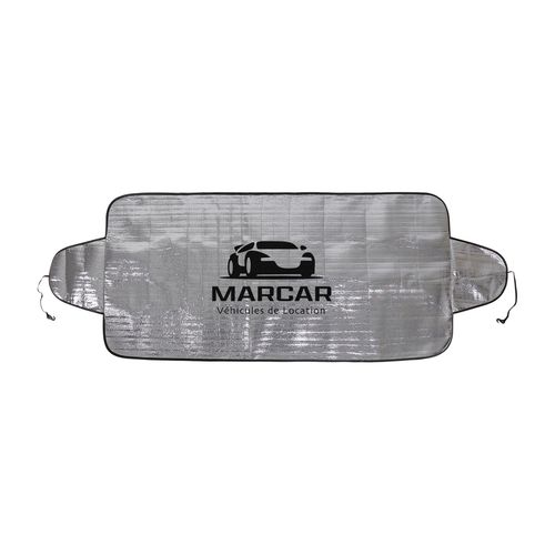 windshield protection