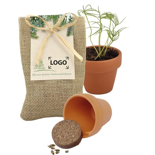 Miniature Growth in jute sack