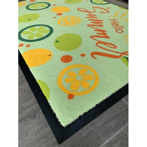 Doormats with spring and summer motifs