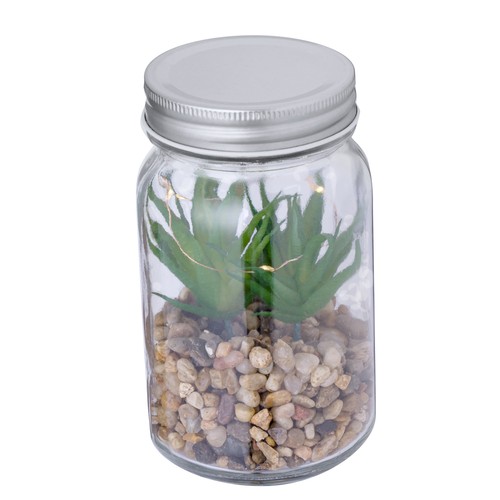 Decoratieve Plant Kyala