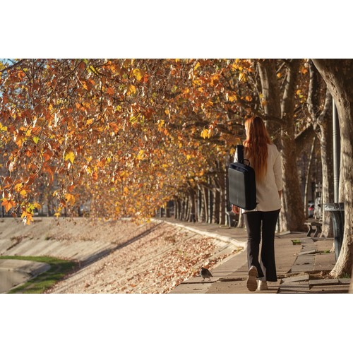 Bobby Bizz 2.0 anti-diefstal rugtas & aktentas