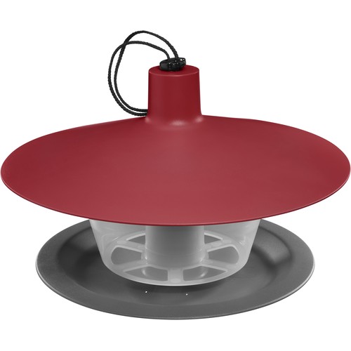 Bird feeder to hang, place, enjoy!