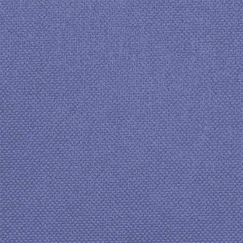 Set de table jetable HOSTEX