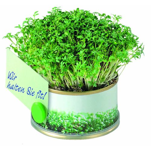 Miniture Garden Cress with magnet