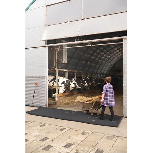 Alfombrilla de desinfección cruzada 120x600x4cm