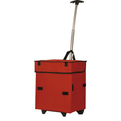 SHOPPING BAG WITH WHEELS