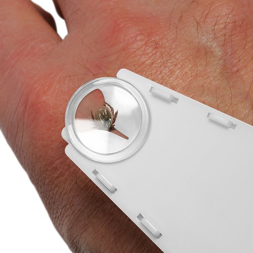 Tick remover with magnifier, foldable
