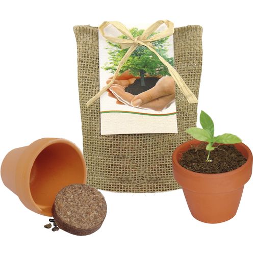 Plant your own Tree small nature sack